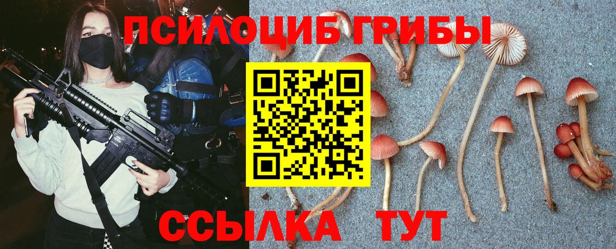 Ульяновск  Псилоцибиновые грибы GOLDEN TEACHER  Псилоцибиновые грибы Psilocybine cubensis  Вход с VPN 